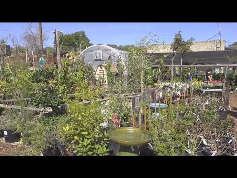 City Heights nursery gaining national recognition