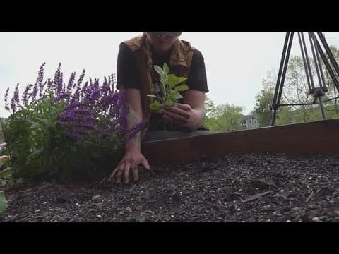 Knox Pride, Second Harvest work to fill gap after loss of 21 truckloads of food