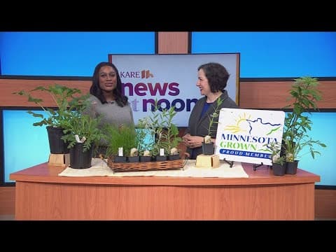 Why add native plants to your garden?