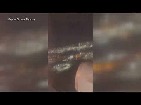 American Airlines flight forced to land after bird flies into plane's engine