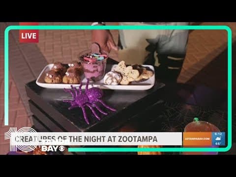 ZooTampa presents Creatures of the Night