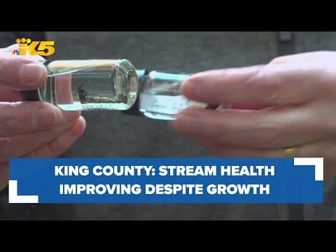 Stream health improving even as region becomes more developed, according to King County