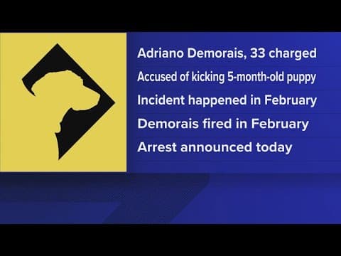 Former District Dogs worker indicted on animal cruelty charges after allegedly kicking dog to death