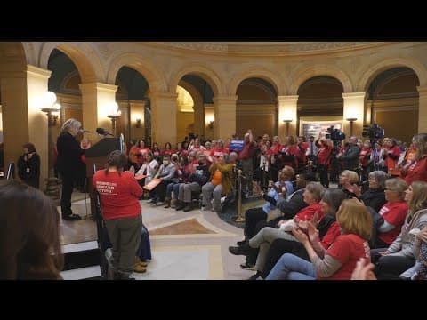 Gun control rally in the State Capitol
