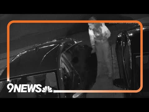 19 vehicles broken into in one night in Highlands Ranch, sheriff's office says