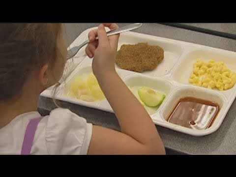 About 90,000 more Minnesota kids to get free meals this school year