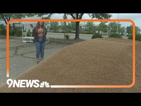 Free sandbagging begins for properties impacted by Alexander Mountain Fire