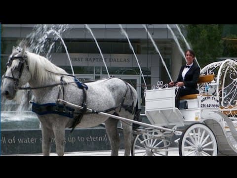 City of Dallas to vote on banning horse-drawn carriages
