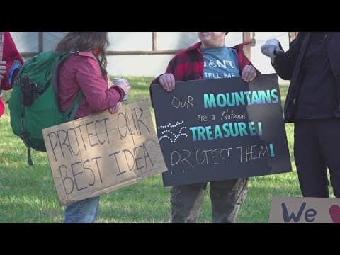 Protests against DOGE pop up across East Tennessee following federal employee layoffs