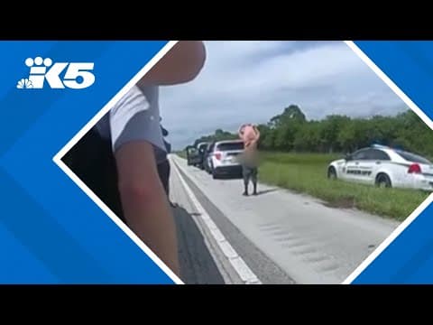 New video shows arrest of man accused of attempted Trump assassination in Florida