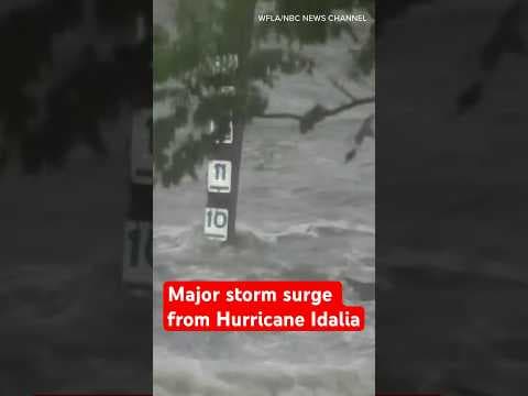 Hurricane Idalia makes landfall in Florida Wednesday as a Category 3 storm #idalia #florida