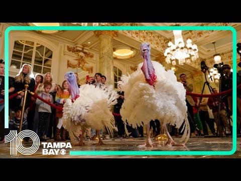 President Biden hosts annual Thanksgiving turkey pardoning ceremony