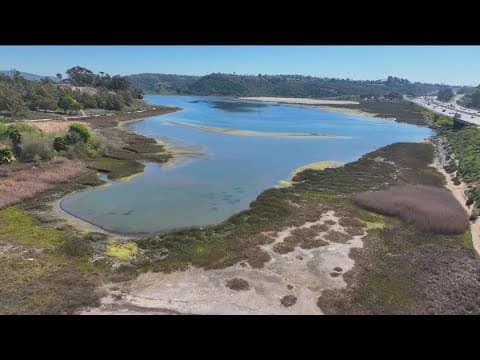 On World Wetlands Day, CBS 8 speaks to Project Coordinator for 'Project Clean Water'