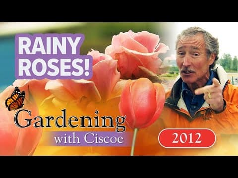 RAINY ROSES! A Horse Track with a Gorgeous Garden! | Gardening With Ciscoe | Full Episode