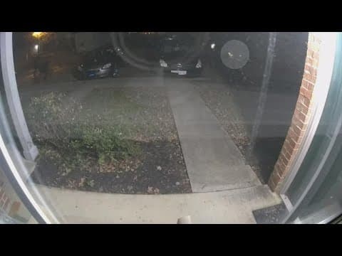 Police release video of shooting that killed 2 young siblings, 22-year-old man in search of info