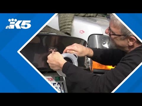 Tesla owners remove logos amid growing backlash against Elon Musk