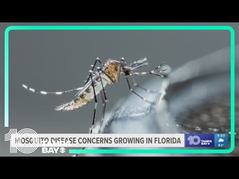 Concerns about mosquito-borne illnesses grow in Florida