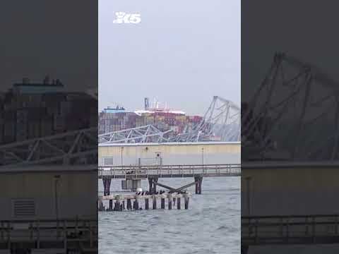 Baltimore's Key Bridge collapses after being hit by cargo ship