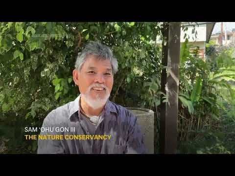 Hawaii is the rainbow capital of the world. Here's what that means