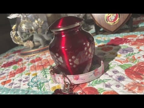Local couple receives pet's ashes from Los Angeles pet cremation company, others continue to wait