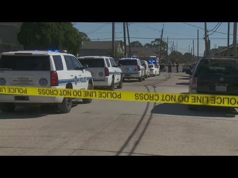 Louisiana Violent Crime Task Force suggest five recommendations for the legislature in 2024