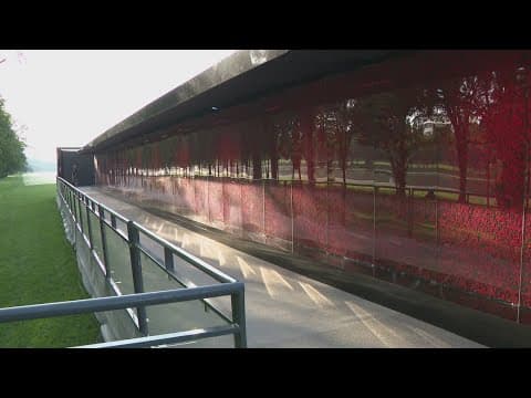 Poppy wall pays tribute to World War I