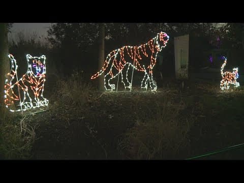 Smithsonian's Zoo Lights will not be free this year