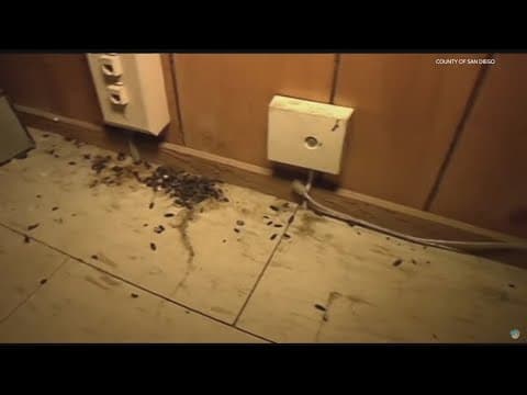 Health expert weighs in on hantavirus cases in San Diego County