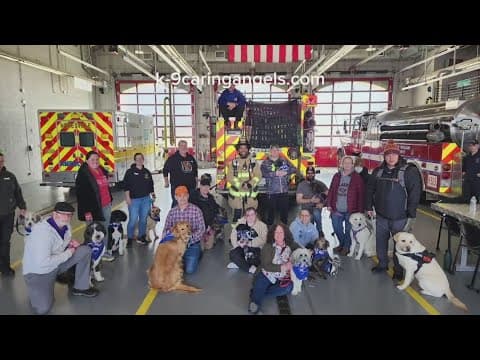 'It will not happen again' | Restaurant outraged after employee tells customer their service animals