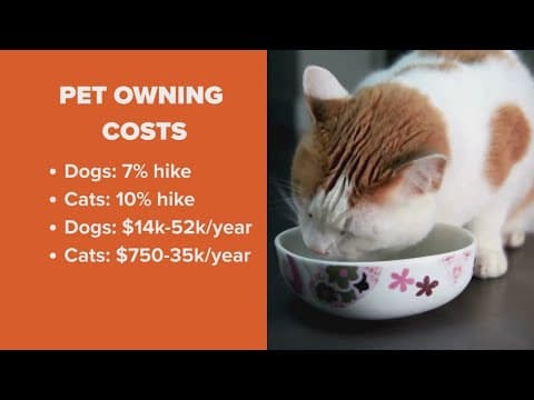 It's getting more expensive to own a pet this year