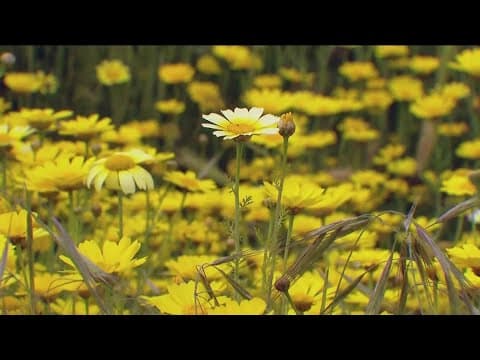 These allergy aggravators could be making your symptoms worse