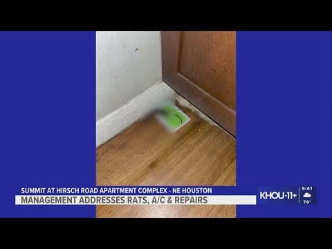 Northeast Houston apartment complex pledges fixes after residents raise health and safety concerns