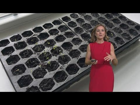 Is it time to start the spring planting season?