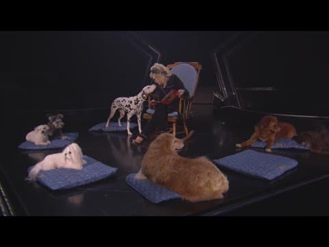 Dolly Parton's Pet Gala