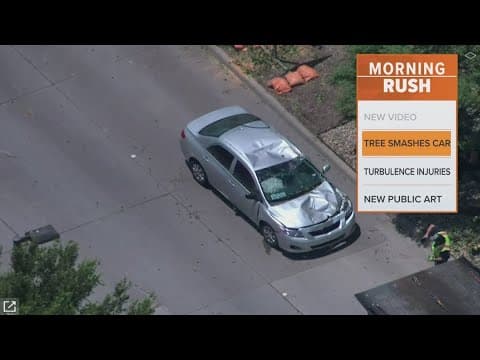 A tree crashes into a car full of people