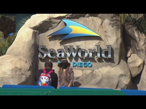 City of San Diego files lawsuit against SeaWorld, seeking $12.23 million