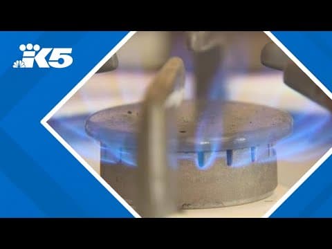 Supporters of I-2066 prepared for legal battle