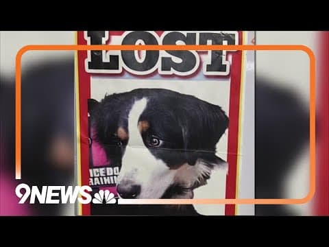 Missing dog in Jeffco reunited with owner after 2 months