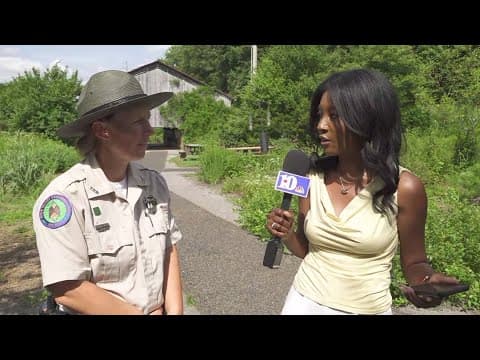 Fireflies light up the night at Seven Islands State Birding Park