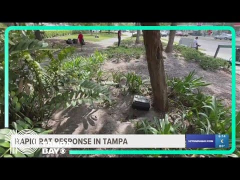 City makes strides to clear out 'Ratlatis' near Tampa bus stop