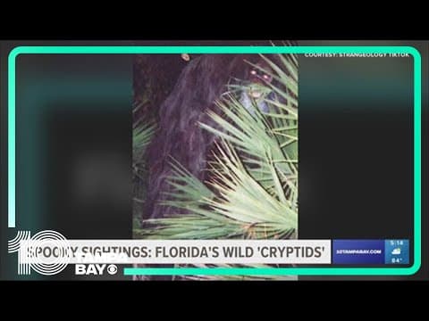 Spooky sightings: Florida's wild 'cryptids'