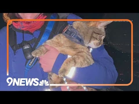 Cat (and humans) rescued off of Boulder's First Flatiron