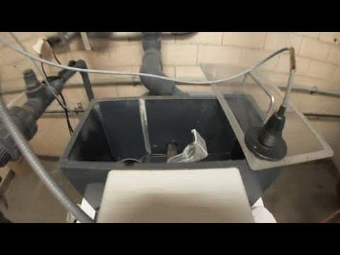 When will the next COVID wave hit? Scientists are monitoring our wastewater as a possible indicator