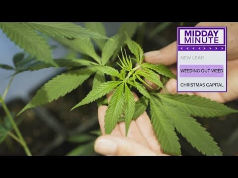 Texas bill could ban the sale of all forms of THC