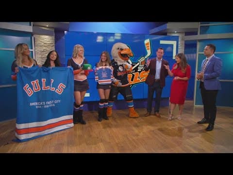 San Diego Gulls announce promotional schedule for upcoming season