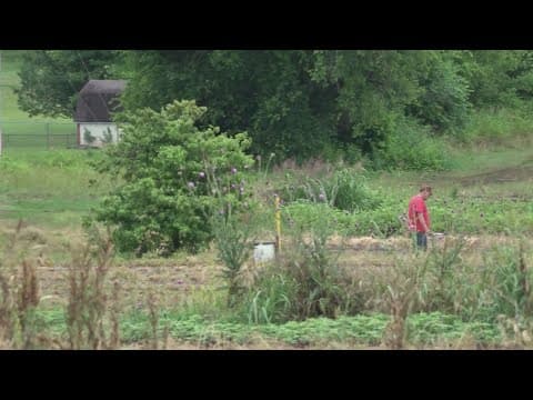 UT Extension expert says Trump tariffs pose threat to East TN farmers, raising prices for different