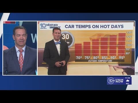 Meteorologists talk showers and storms in Tampa Bay, plus an update on the tropics