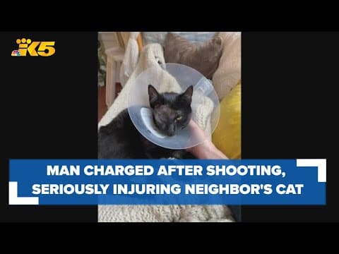 Everett man faces 8 felony charges for shooting birds, squirrels, neighbor's cat