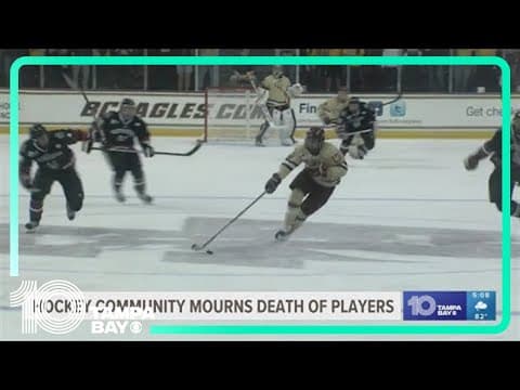 Blue Jackets star Johnny Gaudreau and brother killed when bicycles hit by car on eve of sister's wed