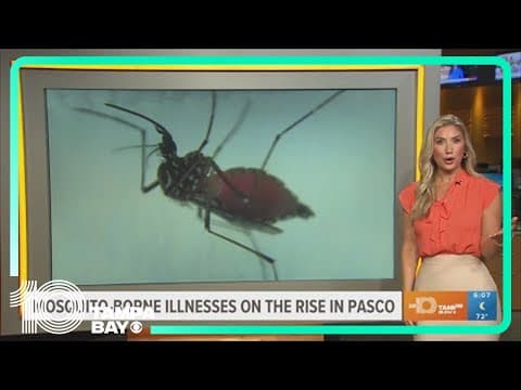Rise in threat of mosquito-borne illness prompts warning in Pasco County, Florida